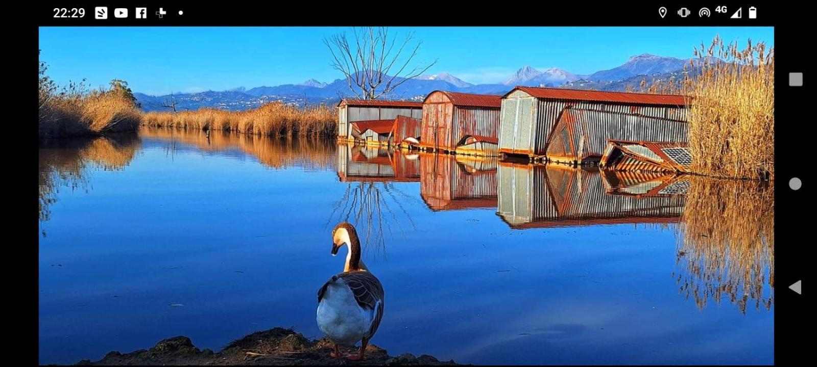 Casa Vacanze Toscana,Lago Di Massaciuccoli Exterior photo